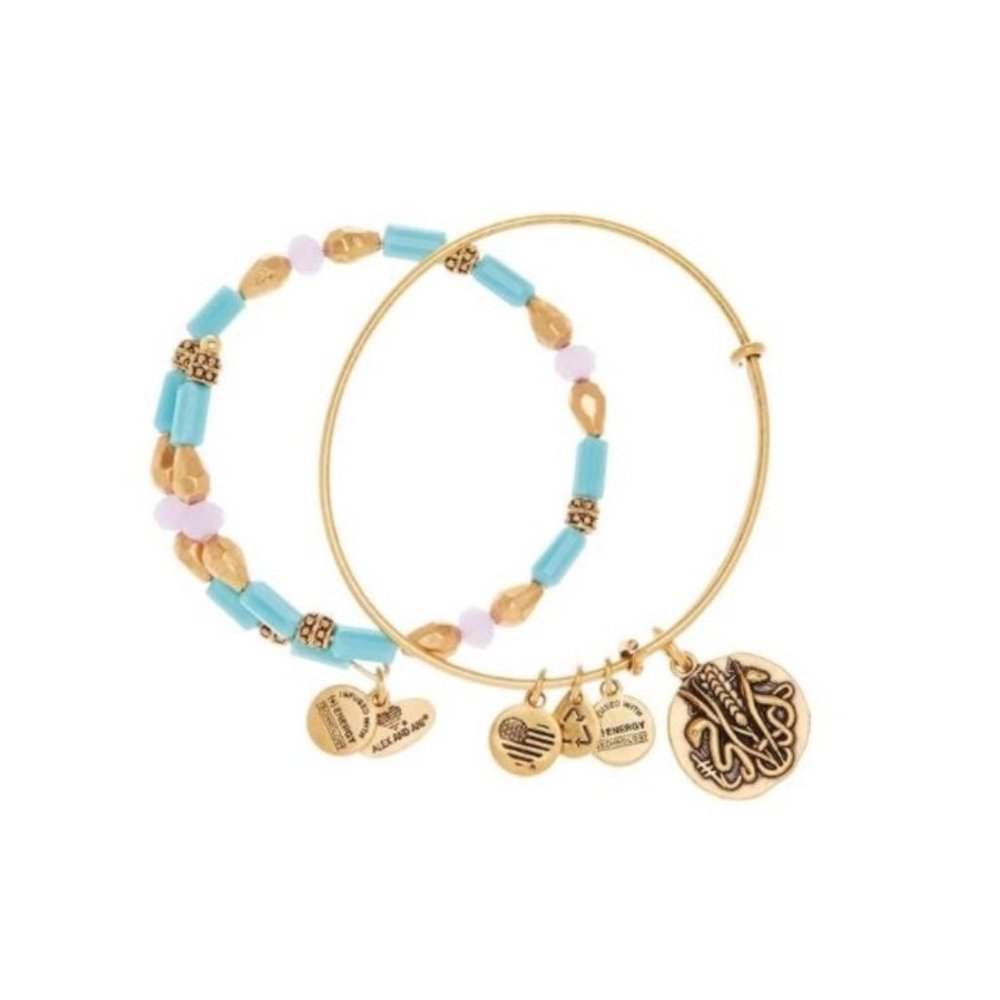 Alex & Ani “Deep sea” bracelet set